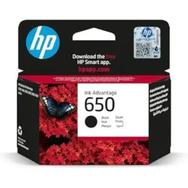 HP 650 Black Original Ink Advantage Cartridge (CZ101AE)