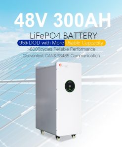 FL-LPBF48300 51.2V 15KWH lithium battery