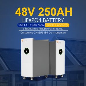 FL-LPBF48250 51.2V 12.5KWH lithium battery, FIVE years warranty